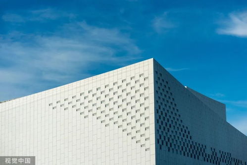 8萬元深圳3日游？網(wǎng)友調(diào)侃 努力一把，9萬元回家