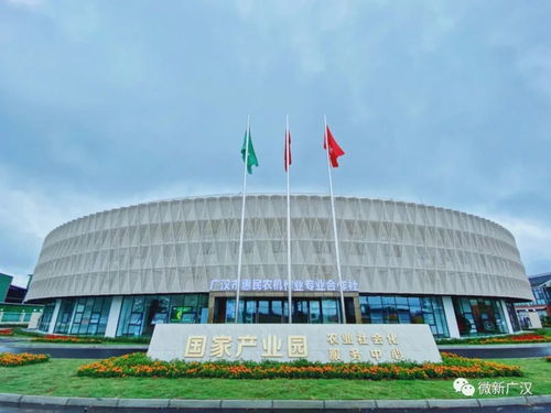 天府糧倉(cāng)連山鎮(zhèn) 建筑裝飾業(yè)的匠心與傳承